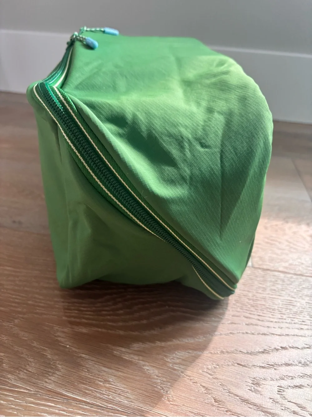 AWAY brand Green Travel Packing Cube shoe Organizer - New!!!
